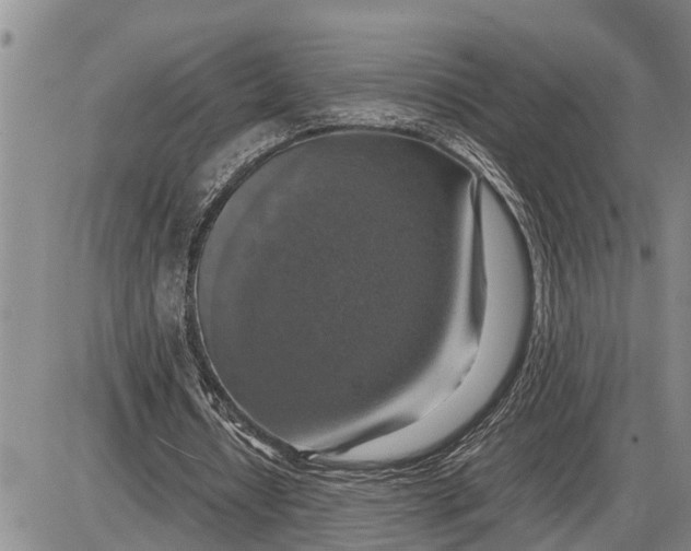 X0000085250434200703231654