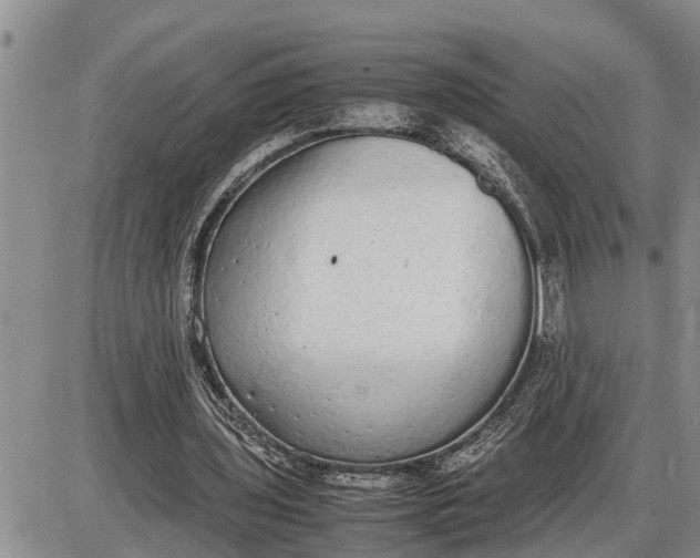 X0000085250435200703231654