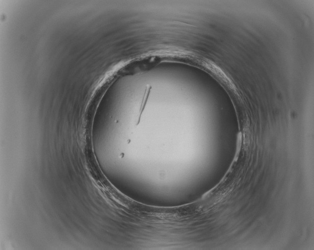 X0000085250436200703231654