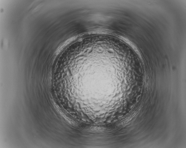 X0000085250437200703231654