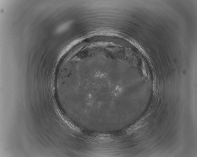 X0000085250438200703231654