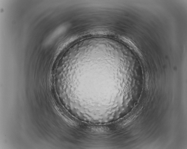 X0000085250439200703231654