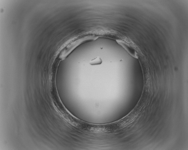 X0000085250440200703231654