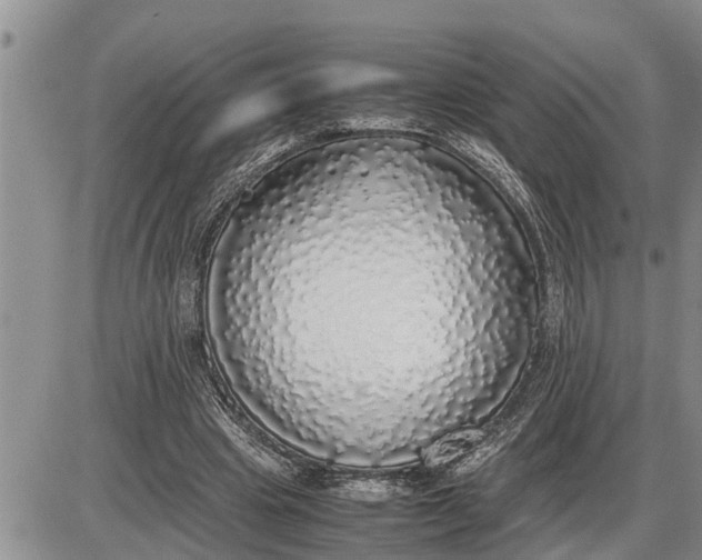 X0000085250441200703231654