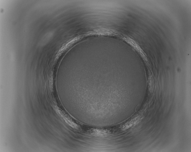 X0000085250442200703231654