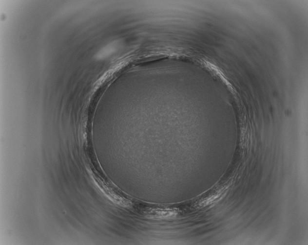 X0000085250443200703231654