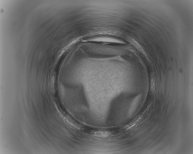 X0000085250444200703231654