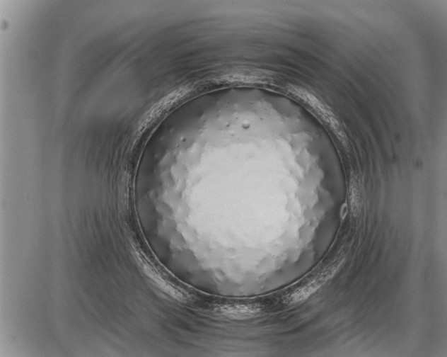 X0000085250445200703231654