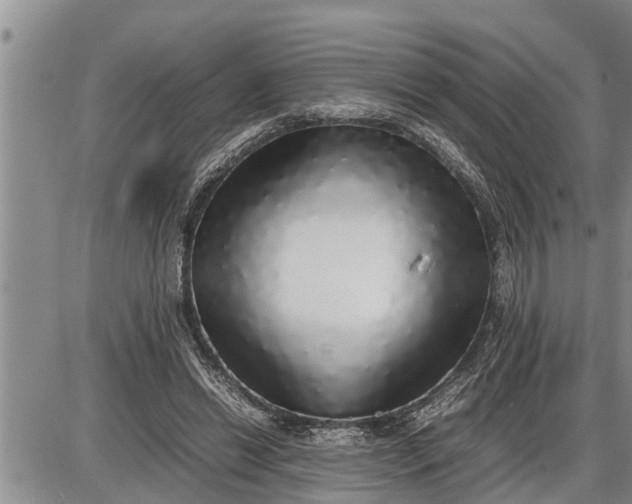 X0000085250446200703231654