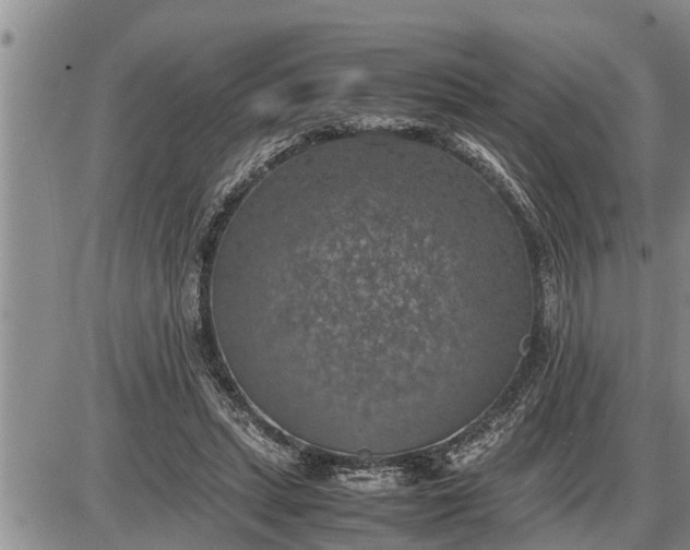 X0000085250447200703231654