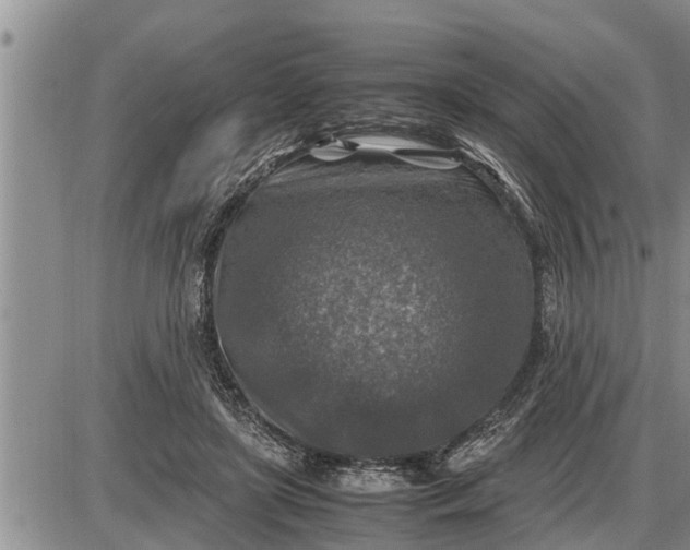 X0000085250451200703231654