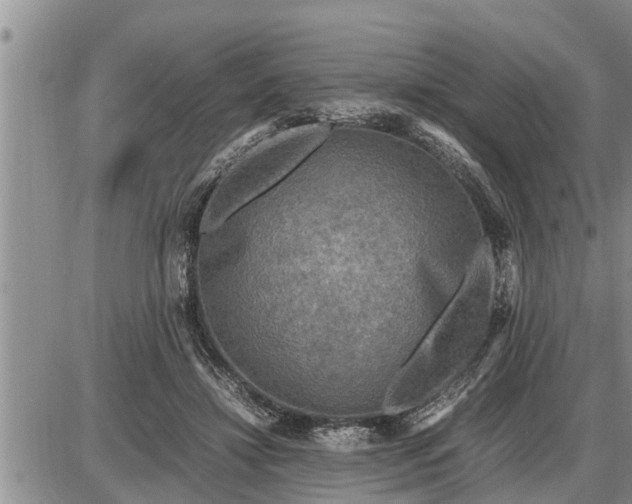 X0000085250452200703231654