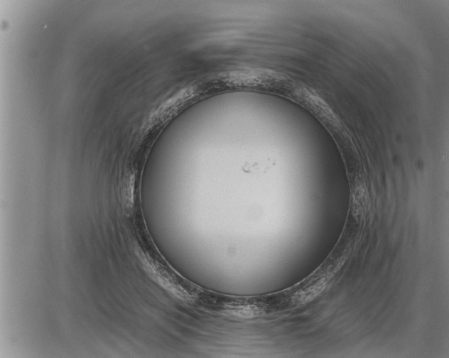 X0000085250454200703231654