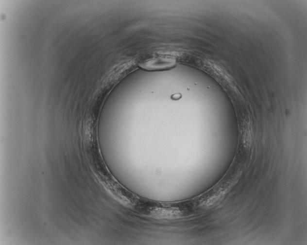 X0000085250455200703231654