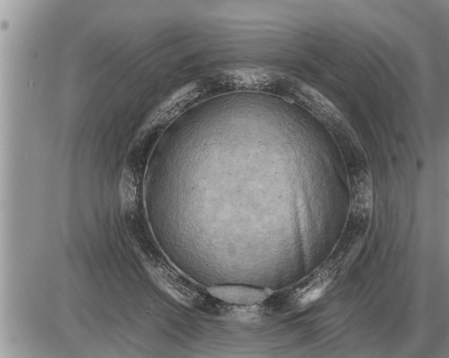 X0000085250456200703231654