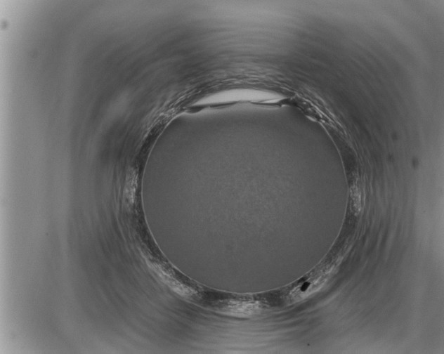 X0000085250458200703231654