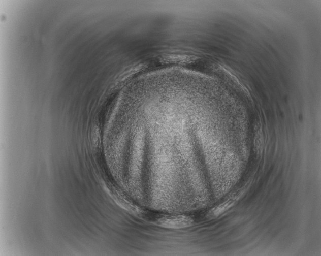 X0000085250459200703231654