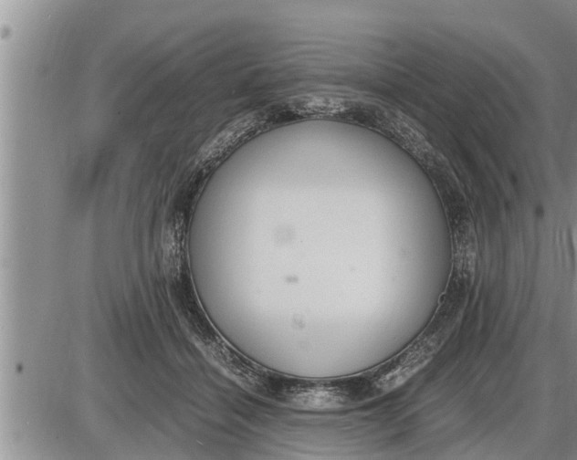 X0000085250460200703231654