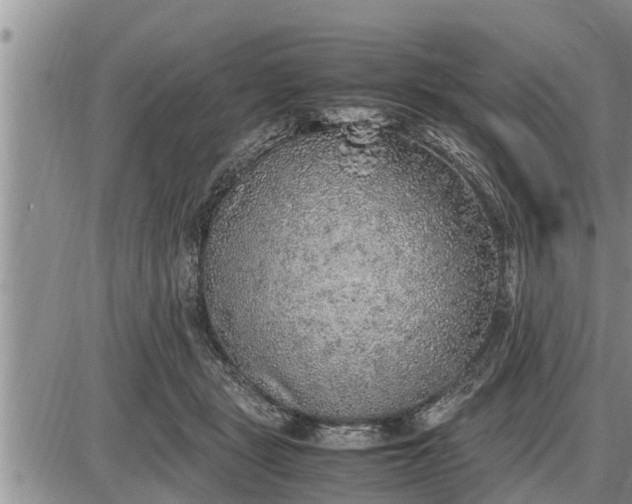 X0000085250461200703231654