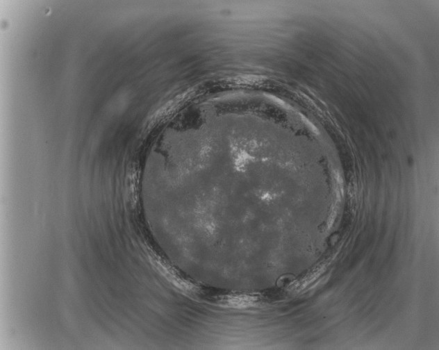 X0000085250462200703231654