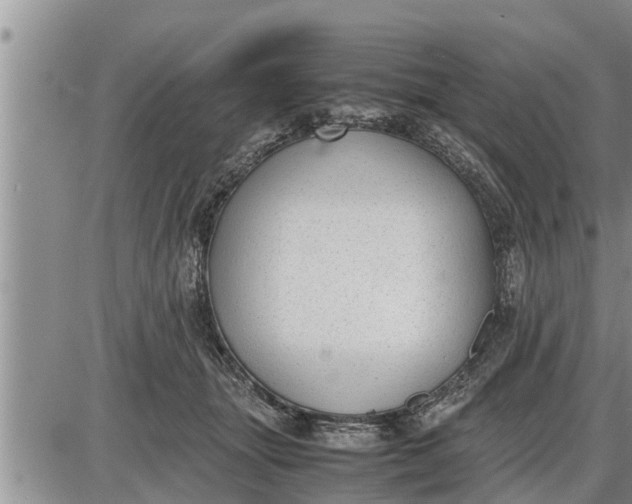 X0000085250463200703231654