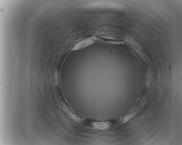 X0000085250465200703231654