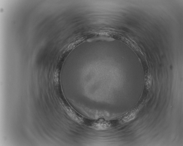 X0000085250466200703231654