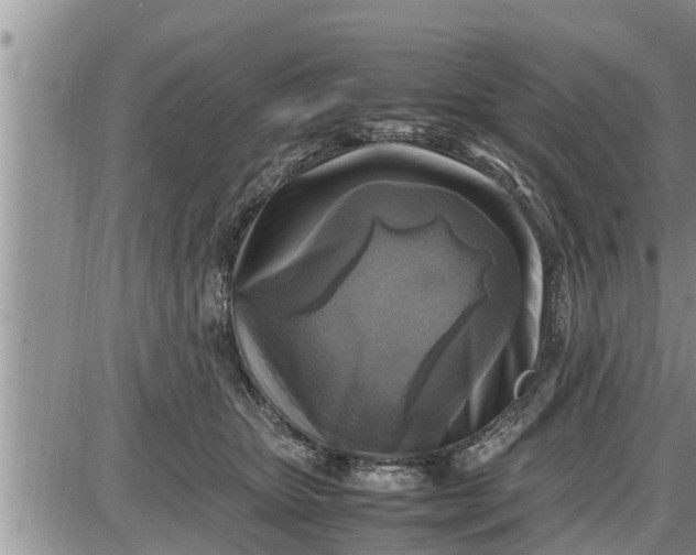 X0000085250467200703231654