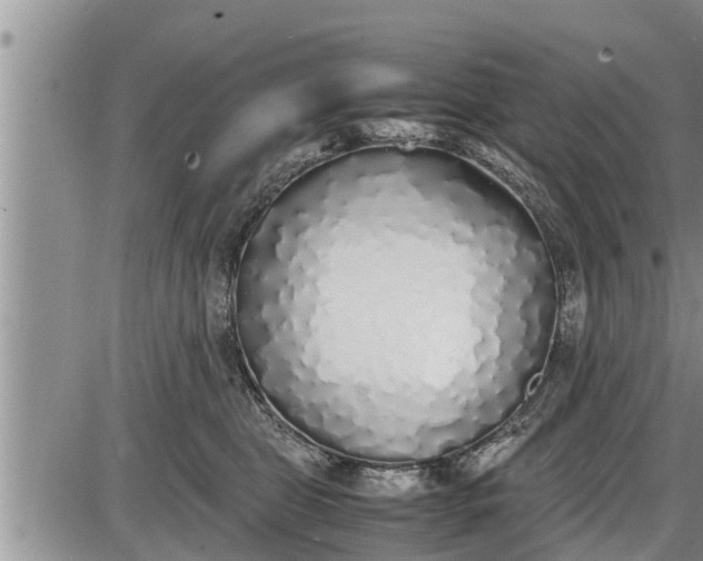 X0000085250469200703231654