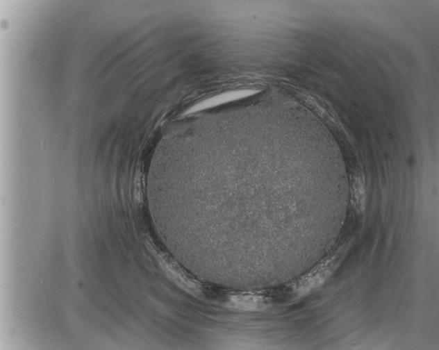 X0000085250470200703231654