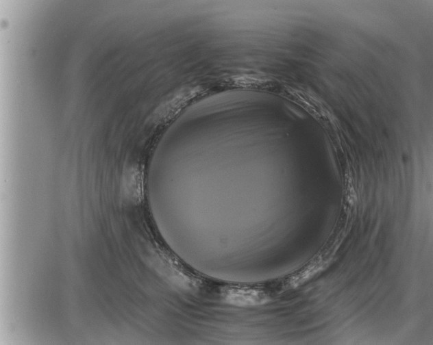 X0000085250471200703231654