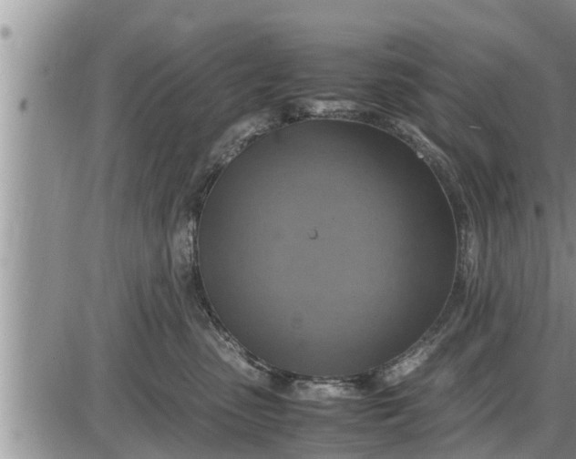 X0000085250475200703231654