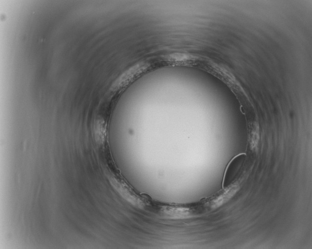 X0000085250476200703231654