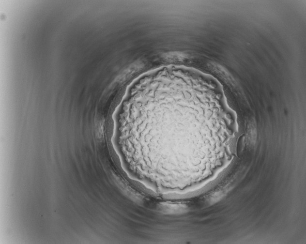 X0000085250477200703231654