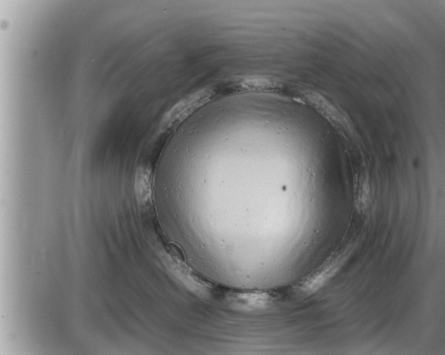 X0000085250478200703231654