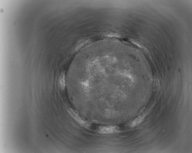 X0000085250479200703231654