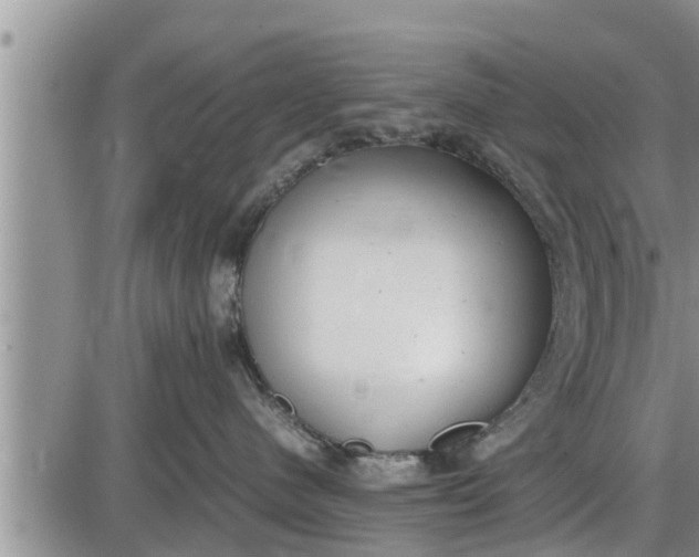 X0000085250480200703231654