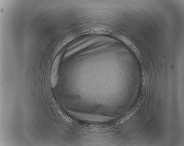 X0000085250481200703231654