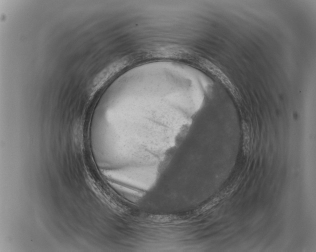 X0000085250482200703231654