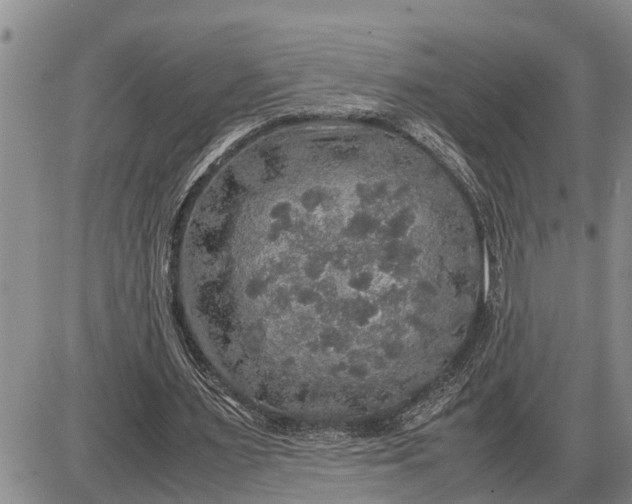 X0000085250483200703231654