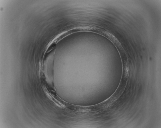 X0000085250484200703231653