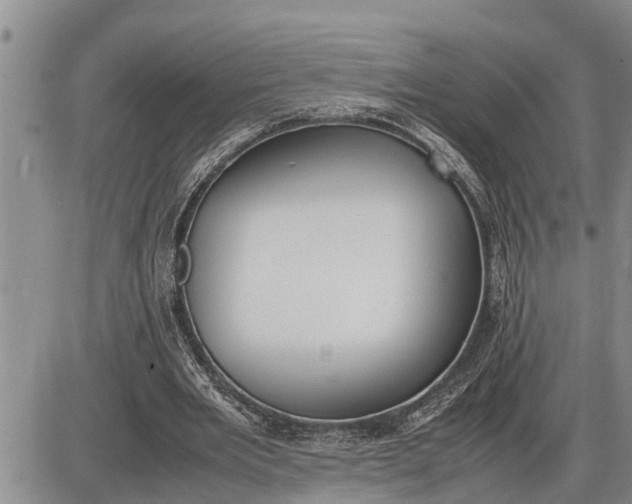 X0000085250485200703231653