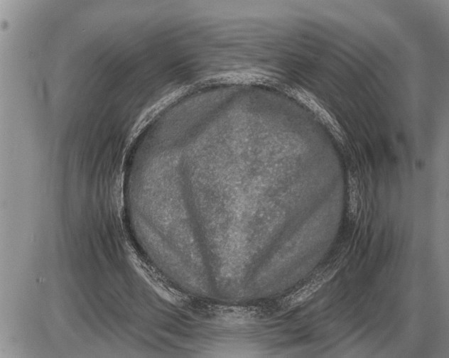 X0000085250486200703231653