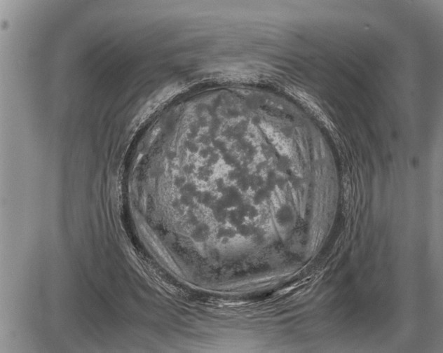 X0000085250487200703231653