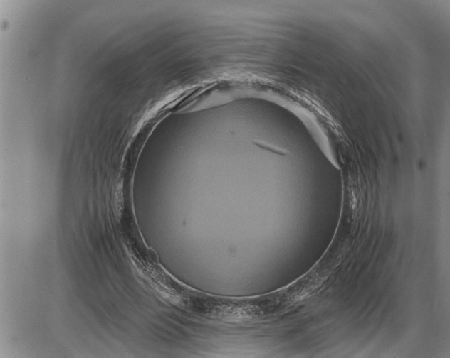 X0000085250488200703231653