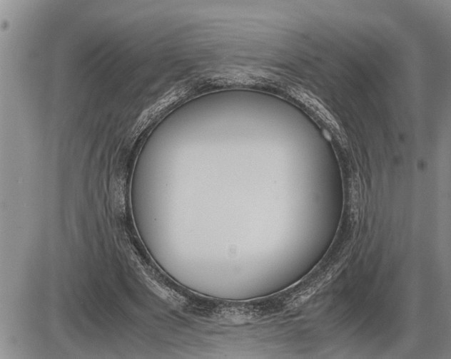 X0000085250489200703231653