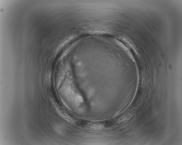 X0000085250491200703231653