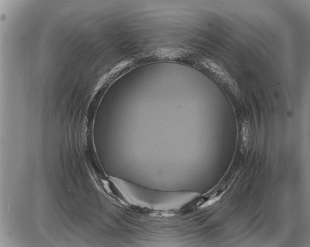 X0000085250492200703231653