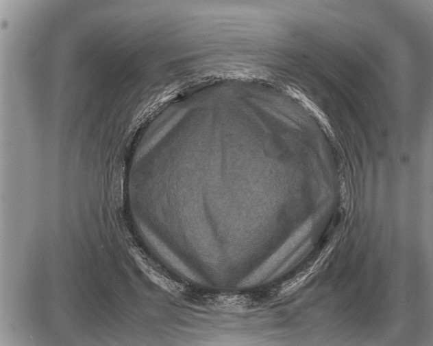 X0000085250493200703231653