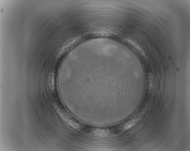 X0000085250494200703231653